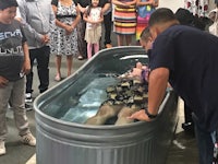a group of people standing around a tub of water